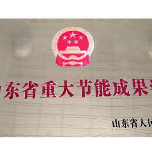 山東省重大節(jié)能成果獎(jiǎng)