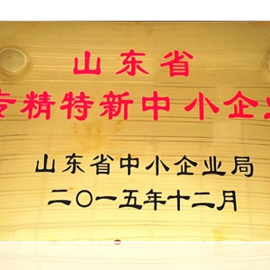 山東省專(zhuān)精特新中小企業(yè)
